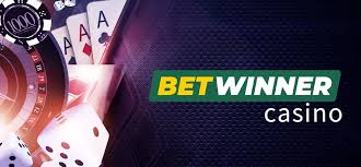 Discover the Excitement of BetWinner Casino 8 Discover the Excitement of BetWinner Casino 8