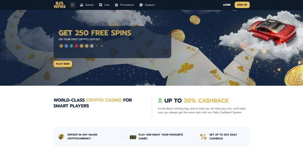 Bigwins Online Casino Testimonial: Complete Evaluation in 2025