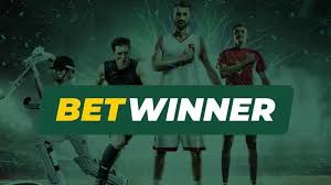 BetWinner Bookmaker Your Guide to Online Betting