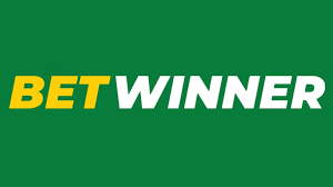 Exploring the BetWinner Platform A Comprehensive Overview
