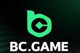Understanding BC.Game General Terms and Conditions 812267455 Understanding BC.Game General Terms and Conditions 812267455